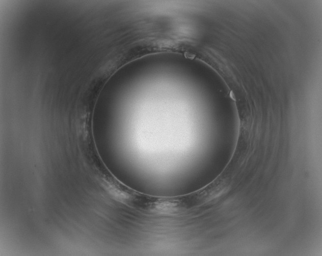 X0000073870462200608101514