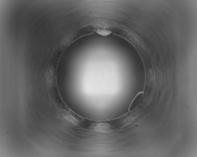 X0000073870463200608101514