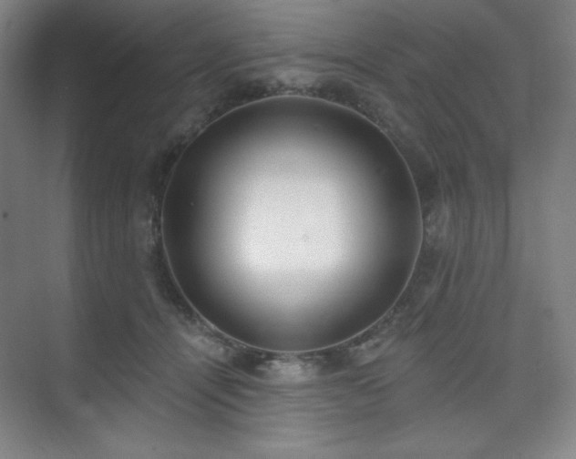 X0000073870464200608101514