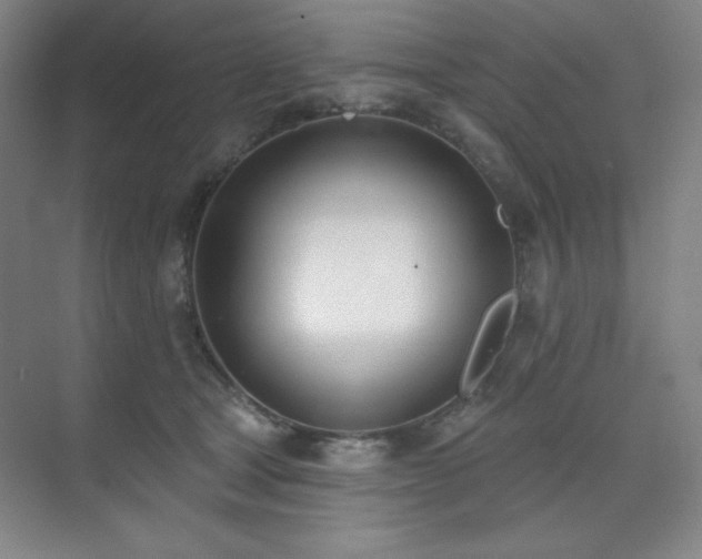 X0000073870465200608101514