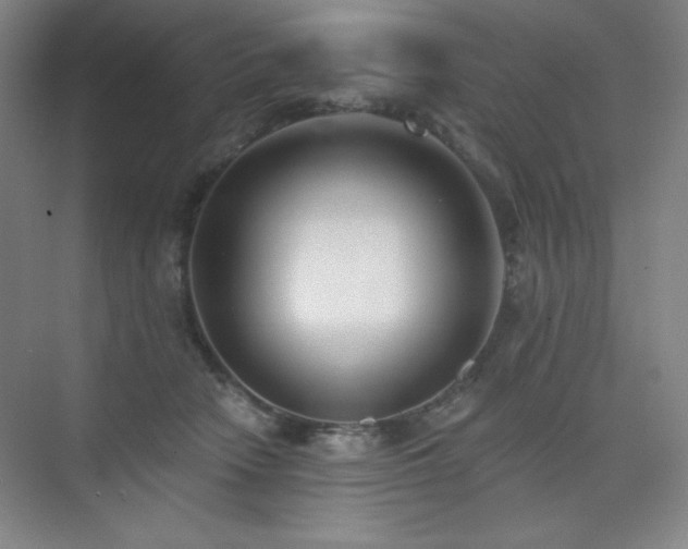 X0000073870466200608101514