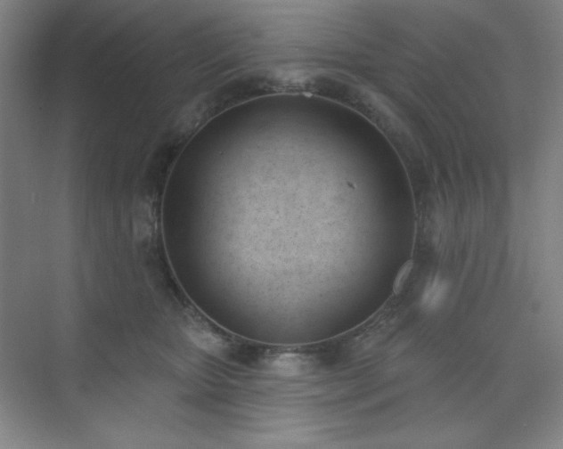 X0000073870467200608101514