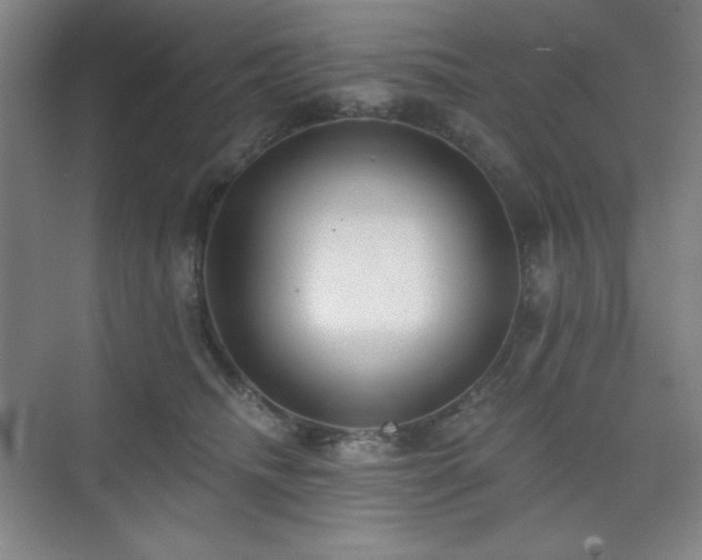 X0000073870468200608101514