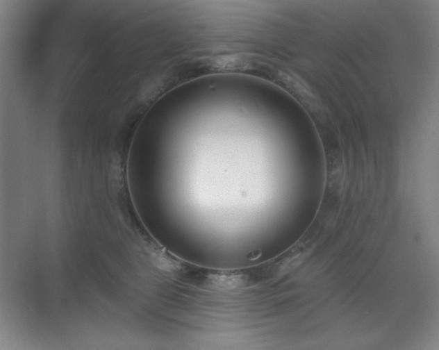 X0000073870469200608101514