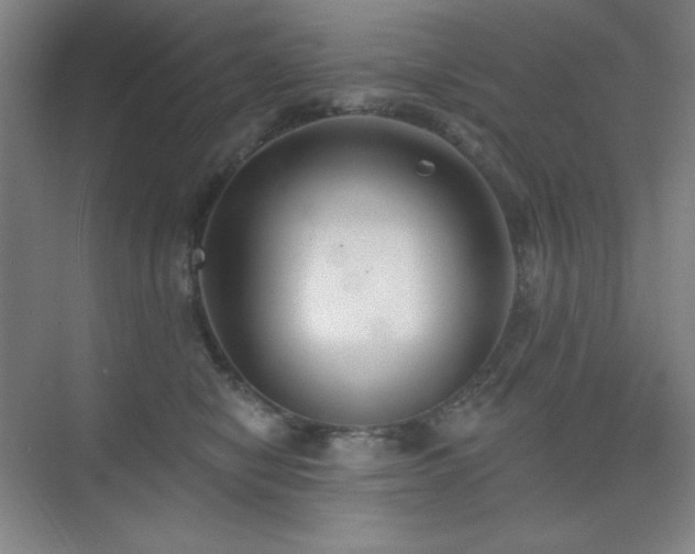 X0000073870470200608101514