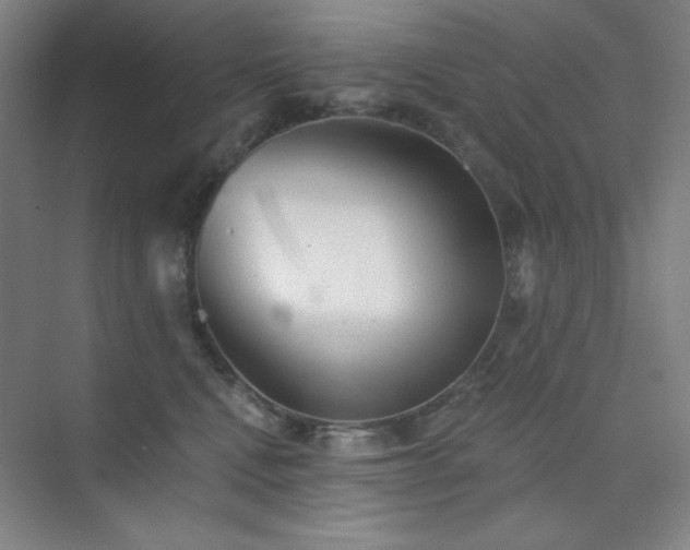 X0000073870472200608101514