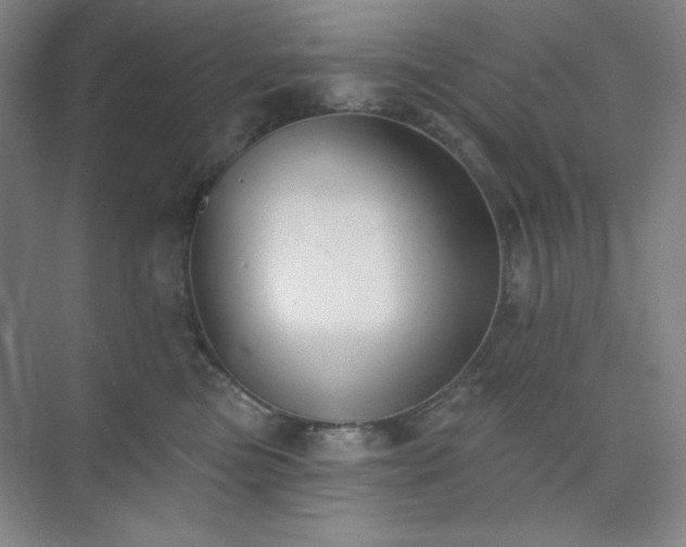 X0000073870473200608101514