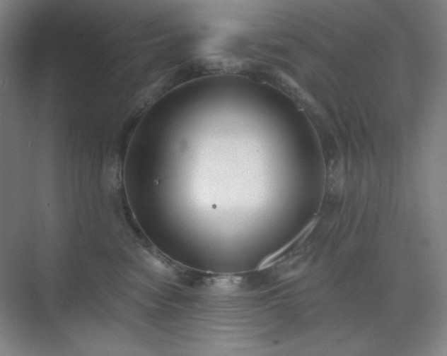 X0000073870474200608101514