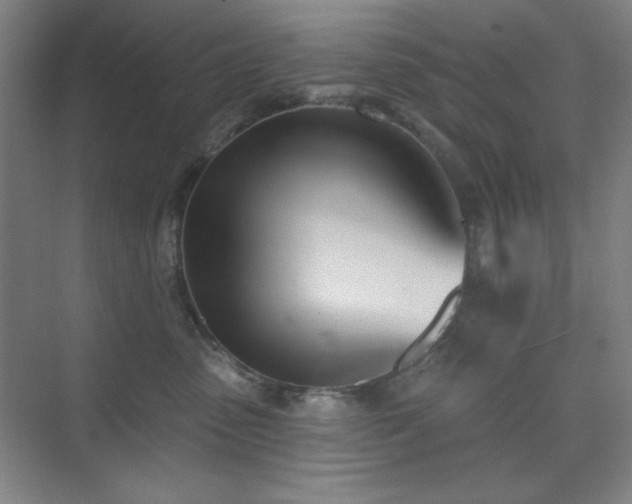 X0000073870475200608101514