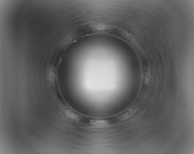 X0000073870476200608101514