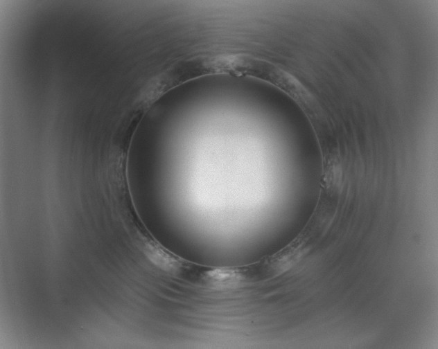 X0000073870477200608101514