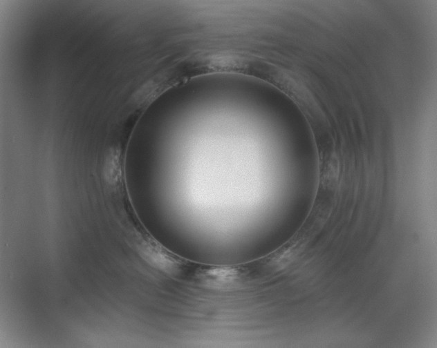 X0000073870478200608101514