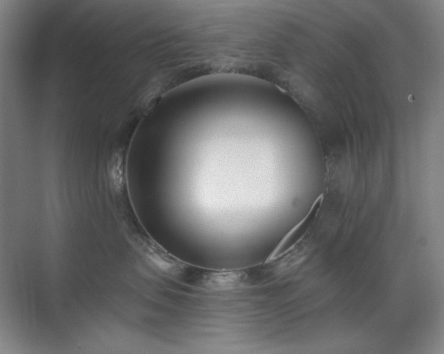 X0000073870479200608101514