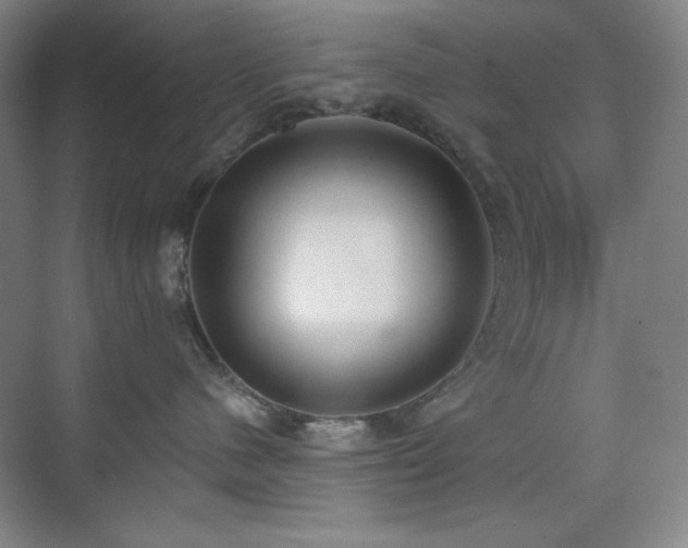 X0000073870480200608101514