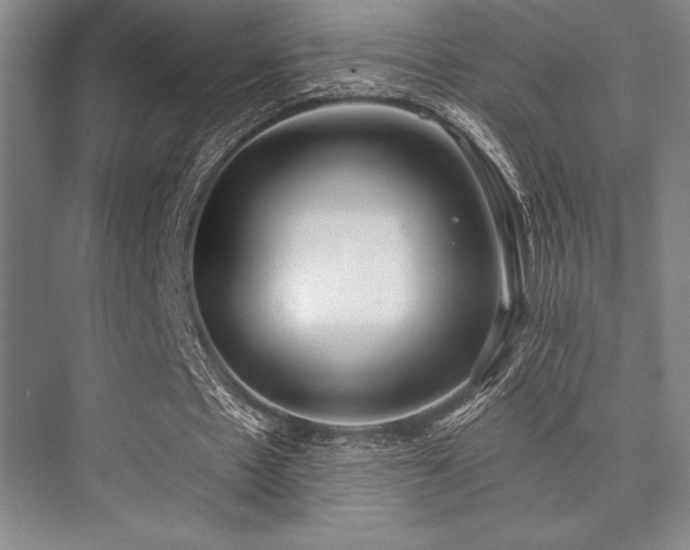 X0000073870481200608101513