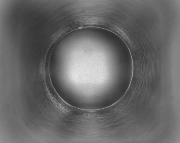 X0000073870482200608101513