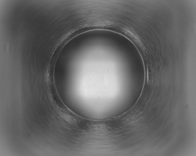 X0000073870483200608101513