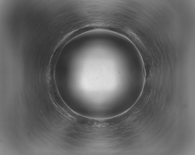 X0000073870484200608101513