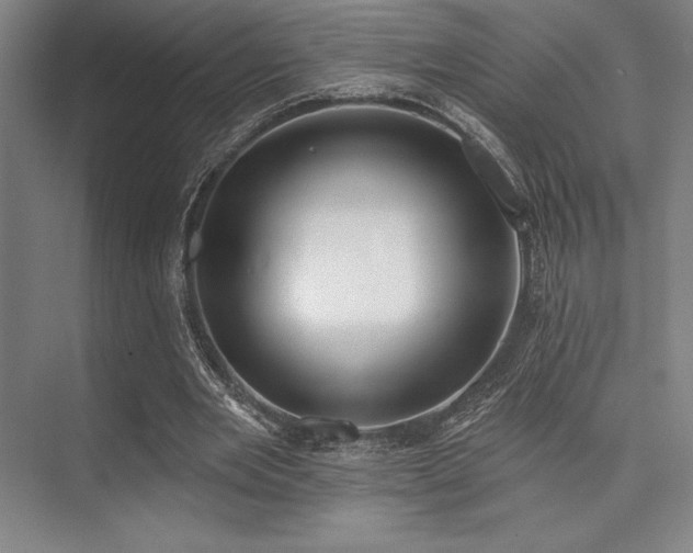 X0000073870485200608101513