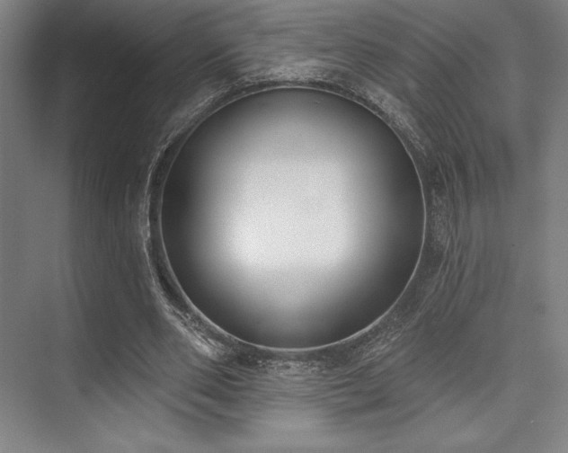 X0000073870486200608101513