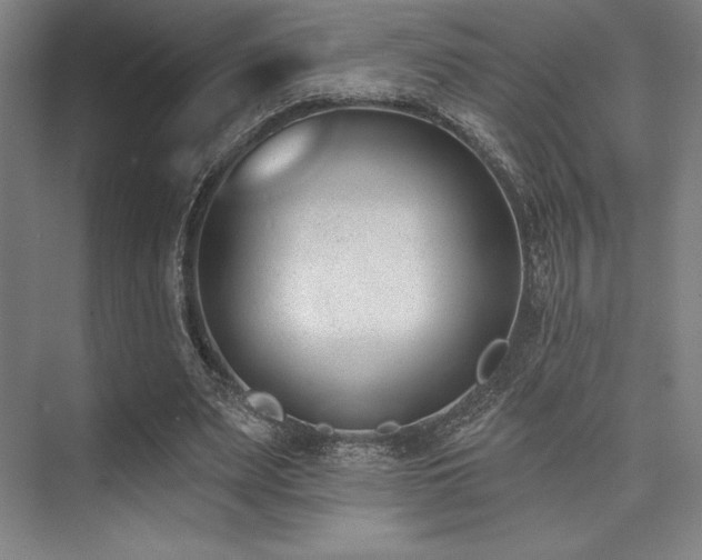 X0000073870487200608101513