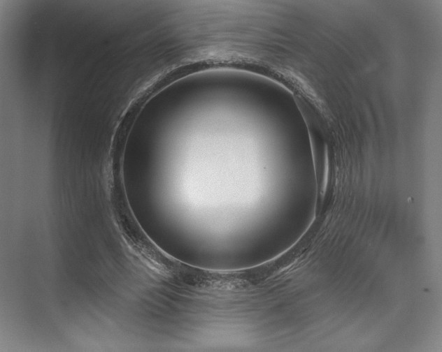 X0000073870488200608101513