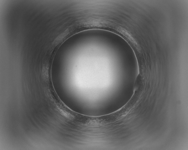 X0000073870489200608101513