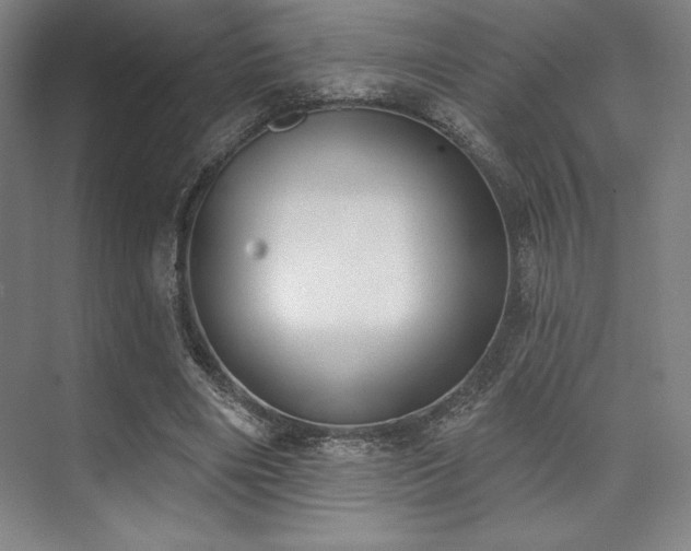 X0000073870490200608101513