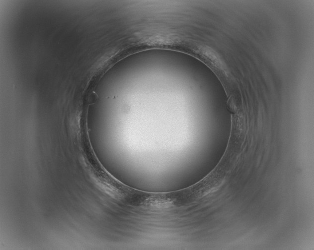 X0000073870491200608101513