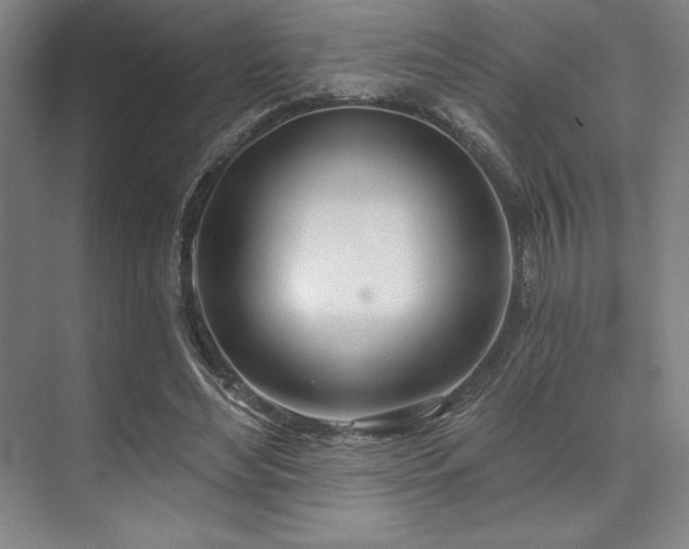 X0000073870492200608101513