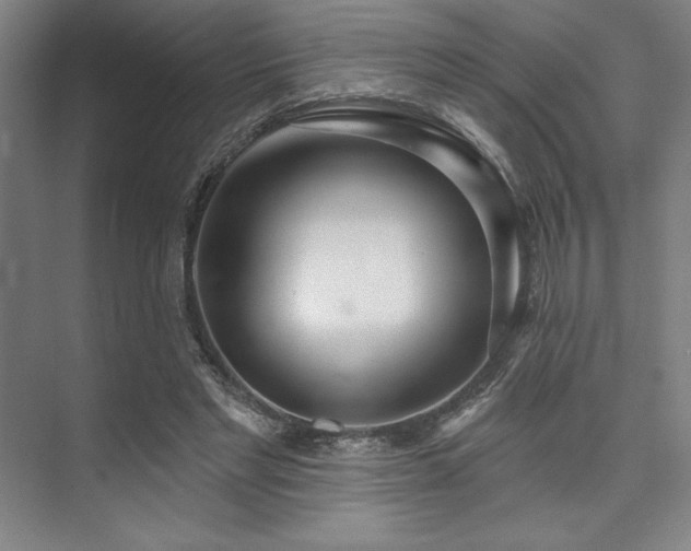 X0000073870493200608101513