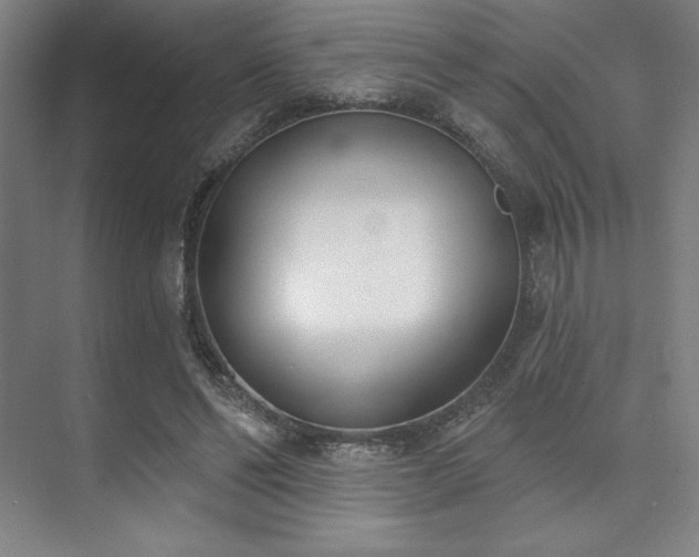 X0000073870494200608101513