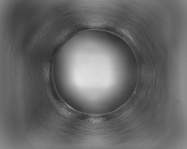 X0000073870495200608101513