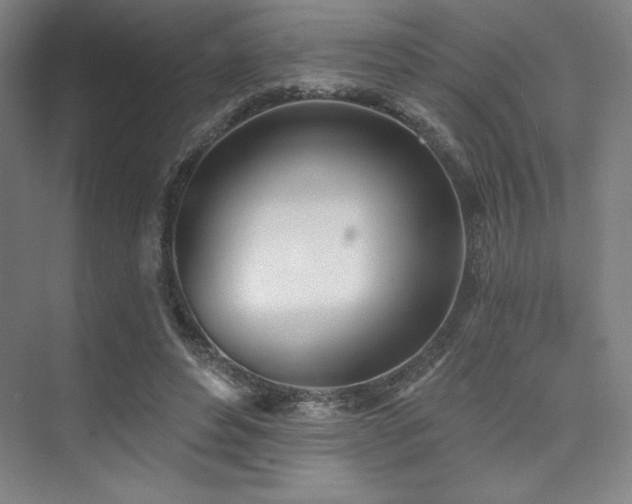 X0000073870496200608101513