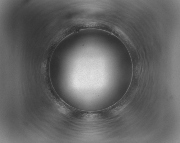 X0000073870497200608101513