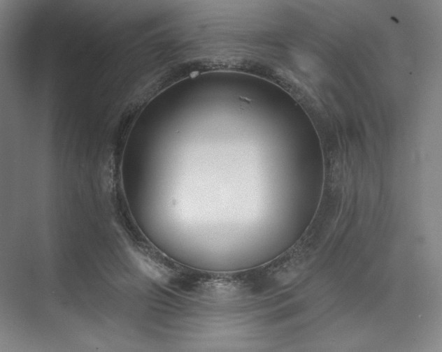 X0000073870498200608101513