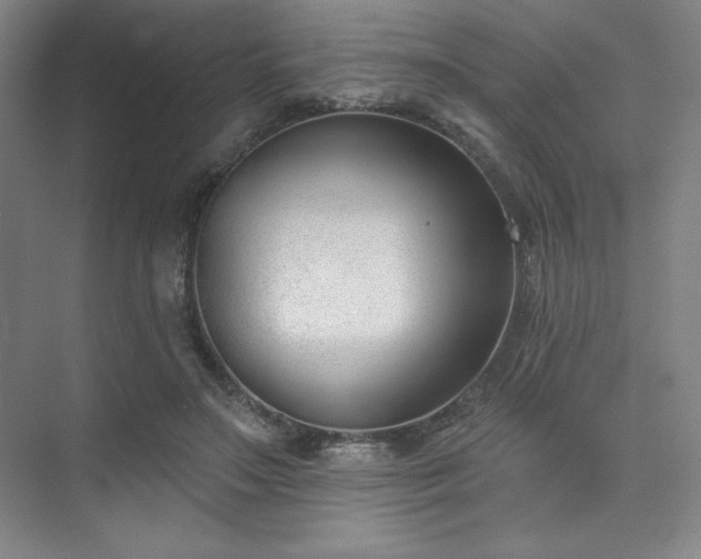 X0000073870499200608101513