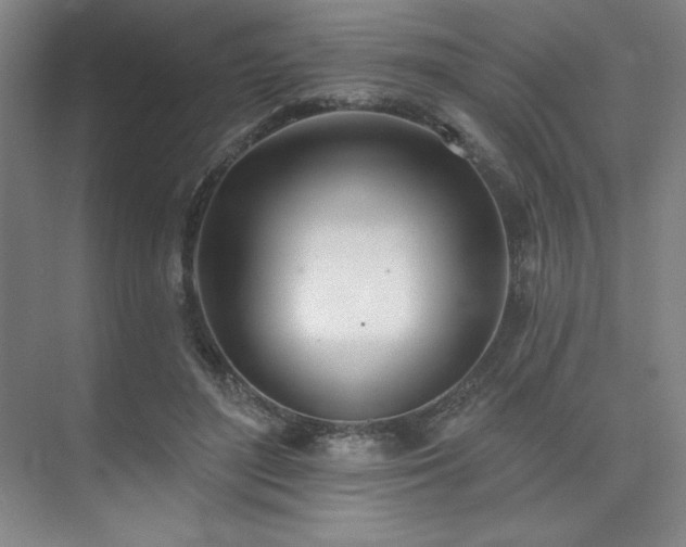 X0000073870500200608101513