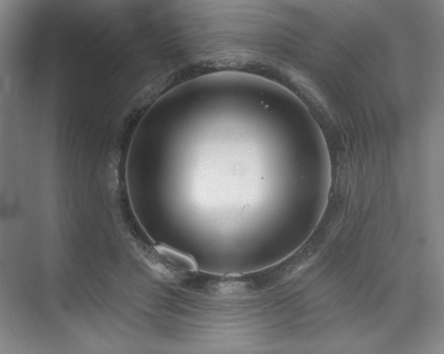 X0000073870501200608101513