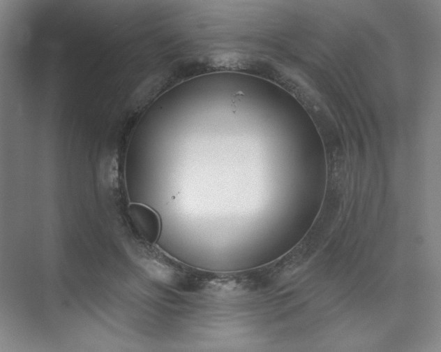 X0000073870502200608101513