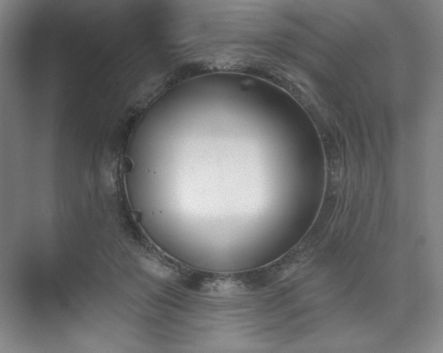 X0000073870503200608101513