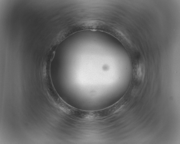 X0000073870504200608101513