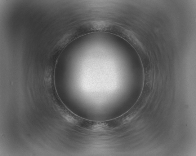 X0000073870505200608101513