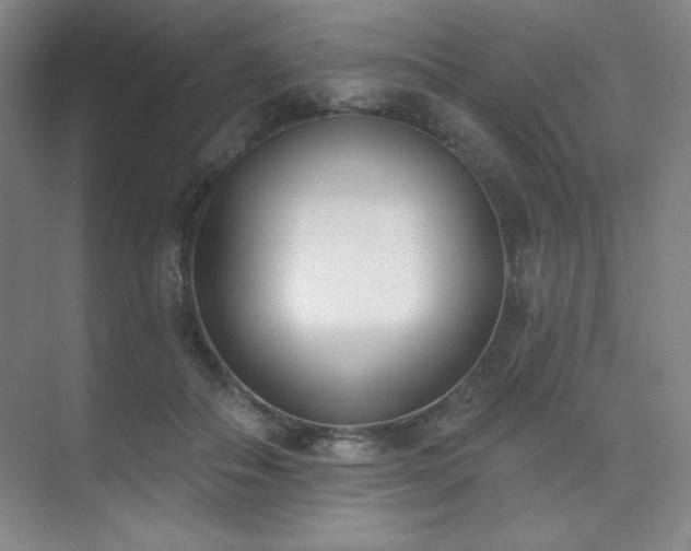 X0000073870506200608101513