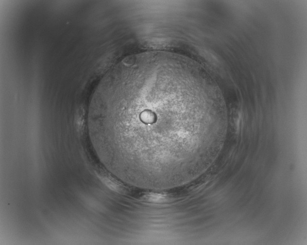 X0000073870507200608101513