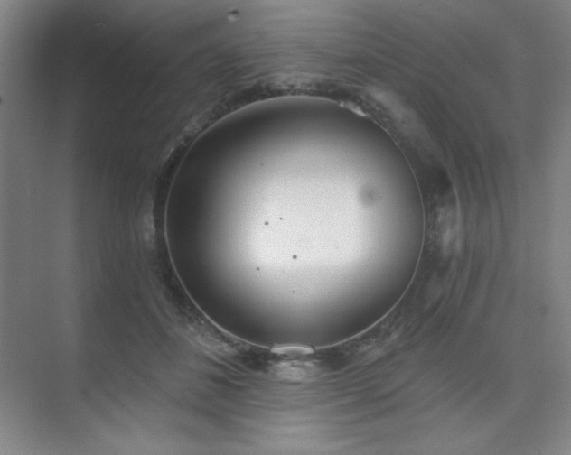 X0000073870508200608101513