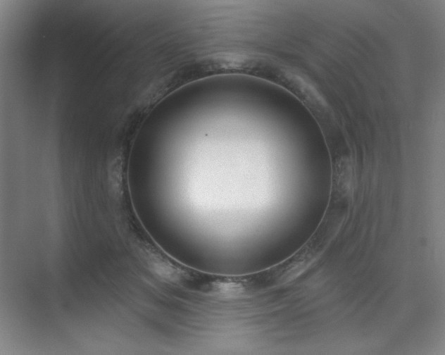 X0000073870509200608101513