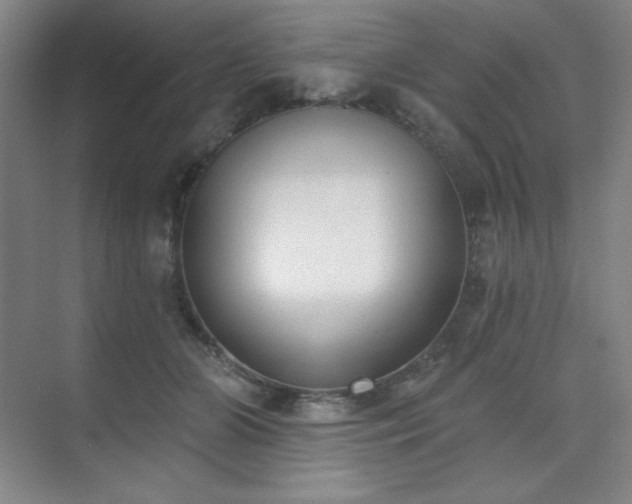 X0000073870510200608101513