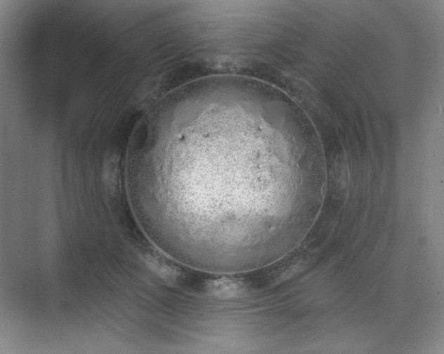 X0000073870511200608101513