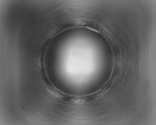 X0000073870512200608101513